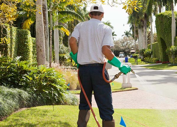 About Oyster Bay NY Pest Control Pros